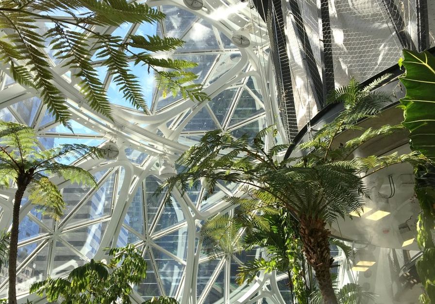 Zdroj: www.seattlespheres.com