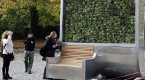 Mestský strom: A mestá môžu znova dýchať