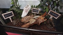 Puma uvádza novú sériu eko-produktov