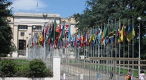 Zapoj sa do súťaže o najlepšiu esej a vyhraj stáž v OSN v New Yorku