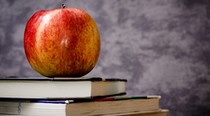 CSR: firmy najviac podporujú školstvo a vzdelávanie
