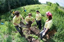 Volunteer days take place in June