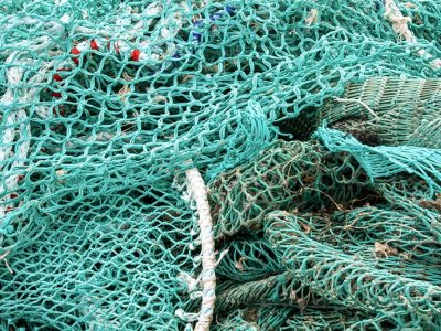 TCHIBO sa systematicky snaží o udržateľnú budúcnosť