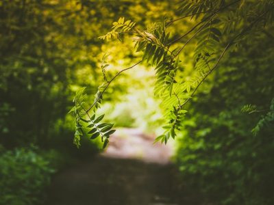 VÚB banka: Bojujme spolu proti znečisteniu ovzdušia