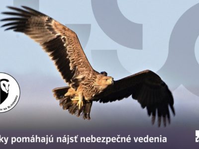 Vysielačky pomáhajú pri hľadaní nebezpečných elektrických vedení