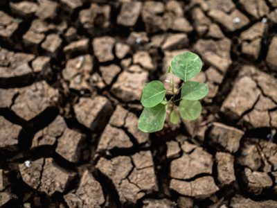 Program Shine hľadá inovátorov, ktorí riešia klimatickú krízu a zlepšovanie zdravia