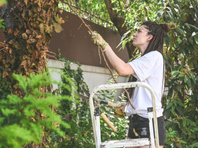 Hornbach radí, ako na strihanie a úpravu zelene počas Nášho Mesta